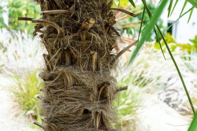 乳胶垫和椰棕垫哪个对身体好 椰棕床垫适合什么样的人群