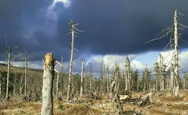 导致酸雨形成的主要气体