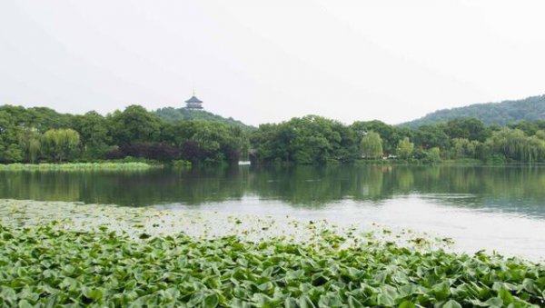 西湖雷峰塔在哪里