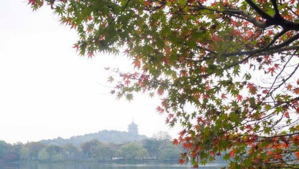 西湖雷峰塔在哪里