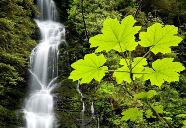 我国最大的淡水湖鄱阳湖位于哪里
