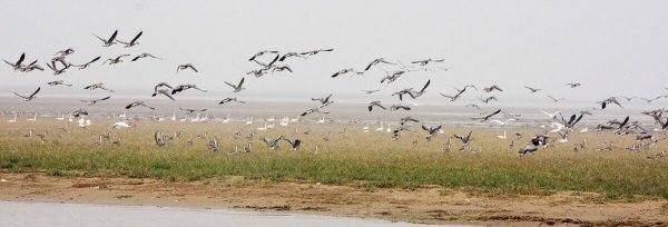 我国最大的淡水湖鄱阳湖位于哪里