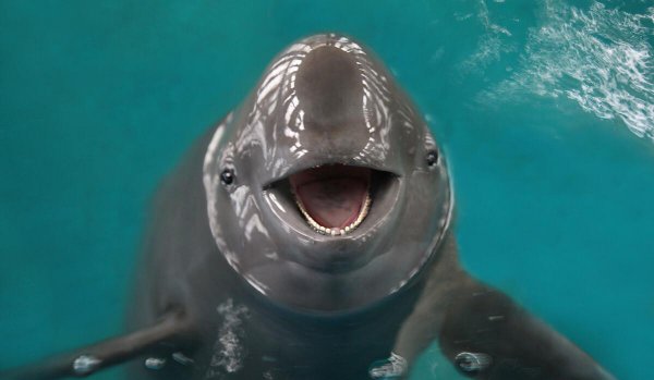 我国最大的淡水湖鄱阳湖位于哪里