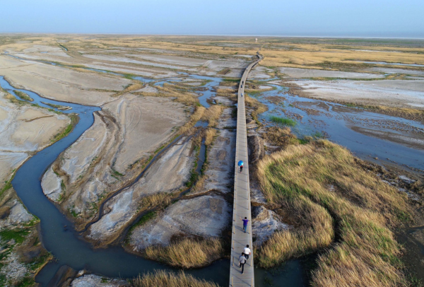 中国陆地最低点在哪个位置