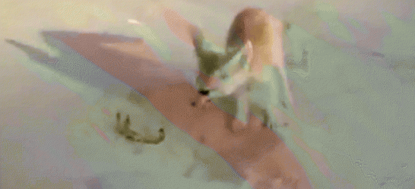 大耳狐的耳朵有什么作用