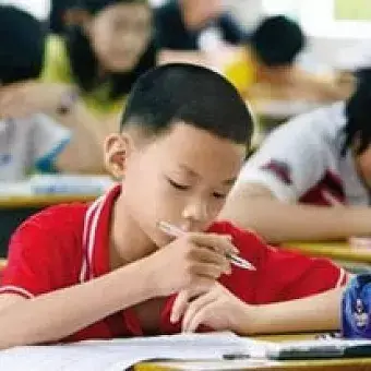 网络词语xxs什么意思