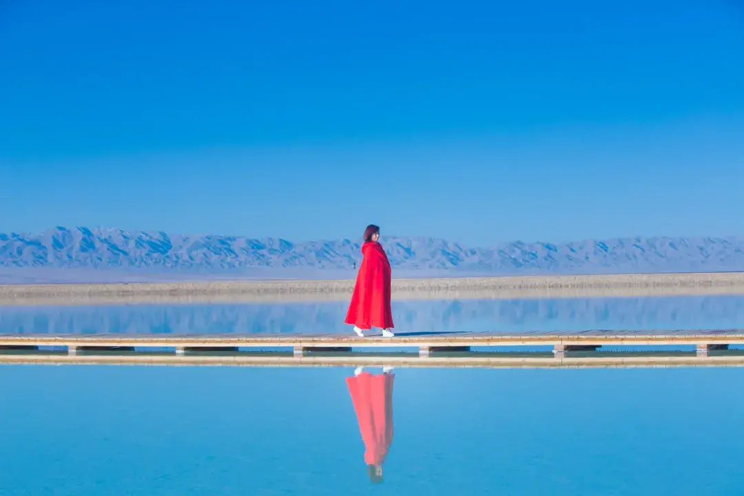 摆渡人读后感想