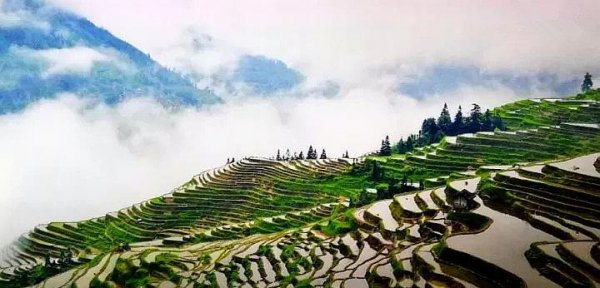 随县属于哪个市管辖