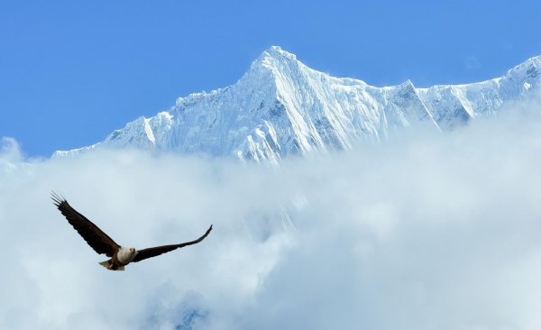 世界海拔最高的高原