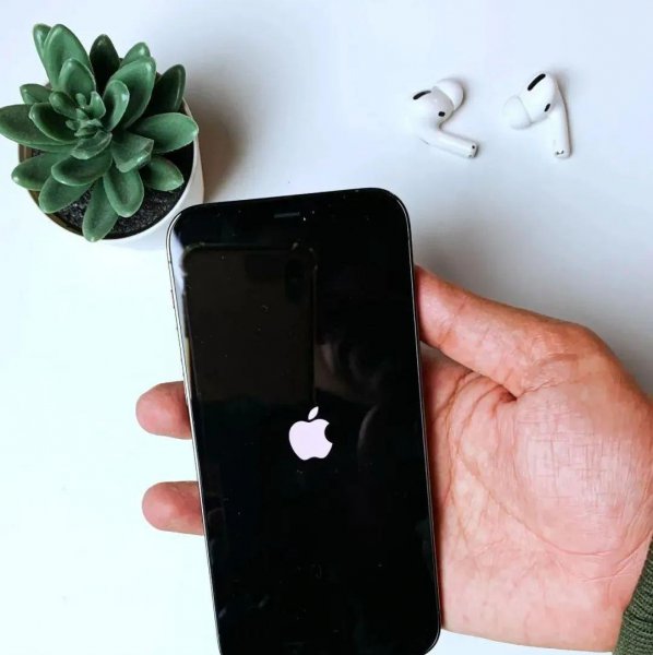 苹果反复亮标不开机怎么办