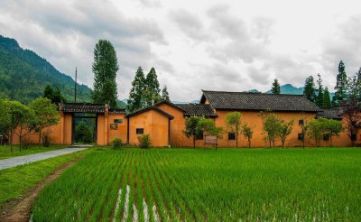 卧室床头柜放什么旺财 家里床头摆三物招财又纳福