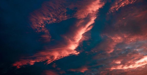 女神的作者是谁