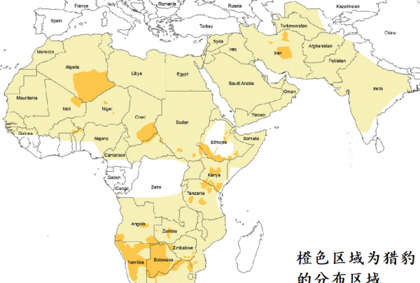 猎豹每小时跑多少千米