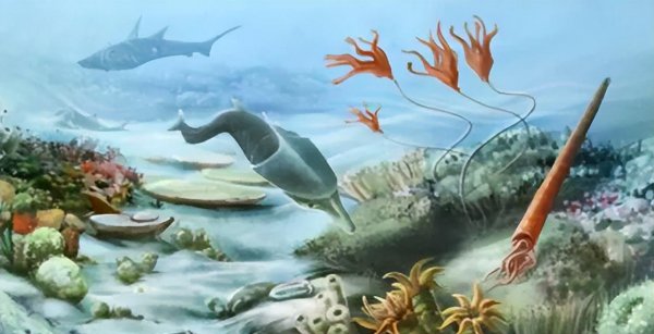 伽马射线有多大的威力