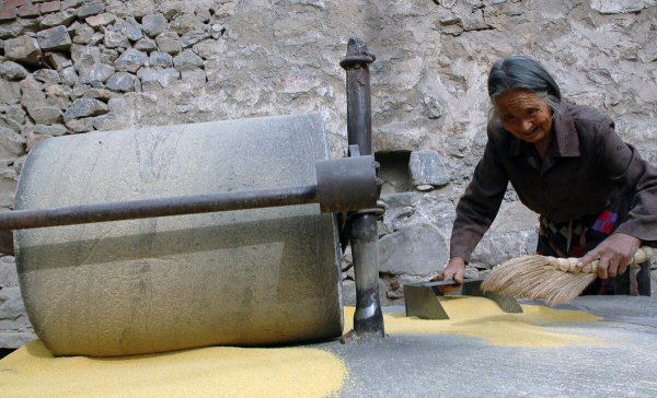 呼兰河传第四章主要内容