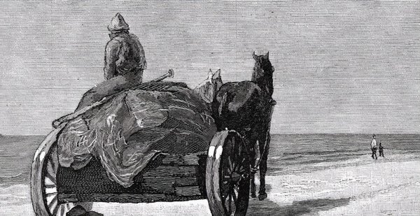 呼兰河传第四章主要内容