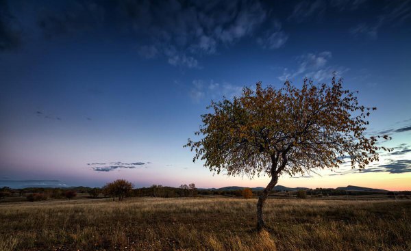 呼兰河传第四章主要内容