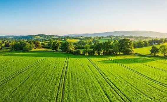 孙犁代表作有哪几篇