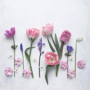 情话微甜的文案有哪些 朋友圈微甜的不肉麻的情话