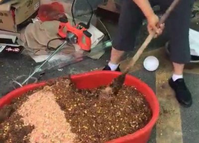 鱼上浮不开口怎么钓 水里有很多鱼但为什么都不吃饵