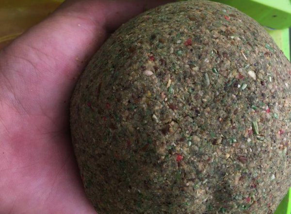 鱼上浮不开口怎么钓