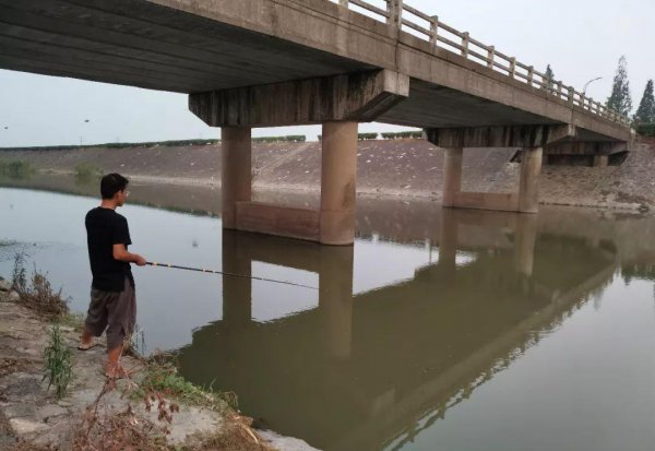 鱼上浮不开口怎么钓