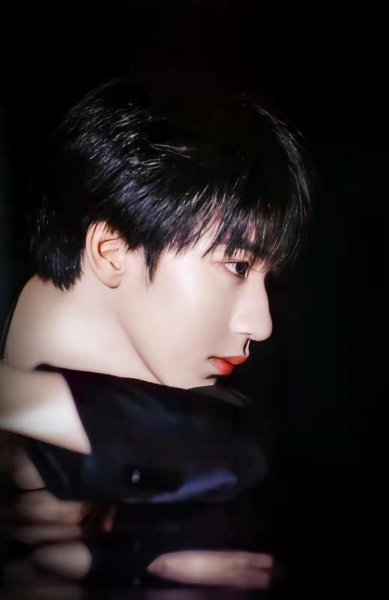 贺峻霖个人资料简介