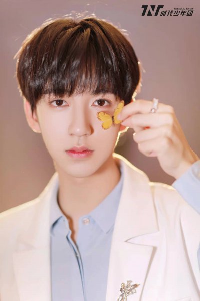 贺峻霖个人资料简介