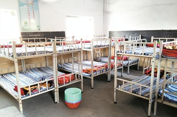 戴玉强个人简历及资料