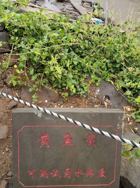 海水晒盐的原理介绍