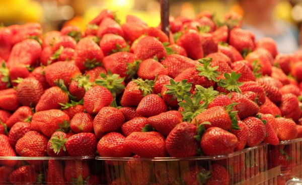 春天的应季水果有哪些