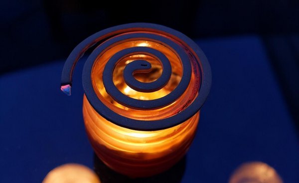 夏天室内灭蚊最有效的方法