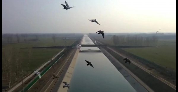 南水北调是从哪里开始到哪里结束