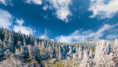 重庆看雪景的最佳地点 推荐重庆的8个玩雪的好去处