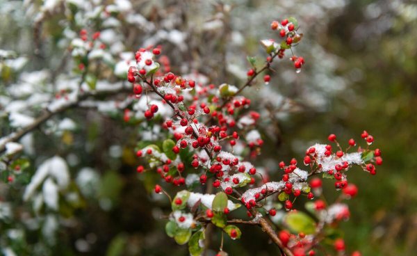重庆看雪景的最佳地点