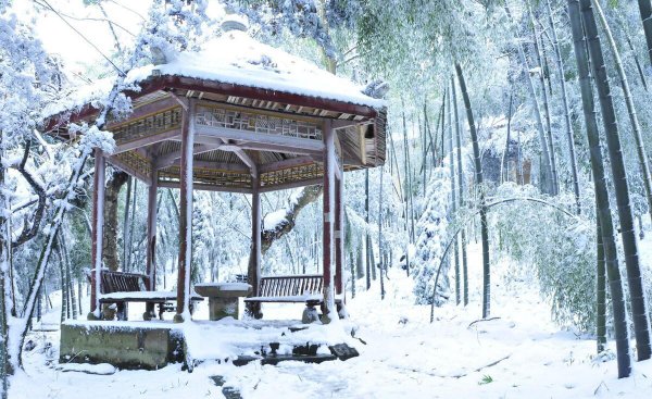 重庆看雪景的最佳地点