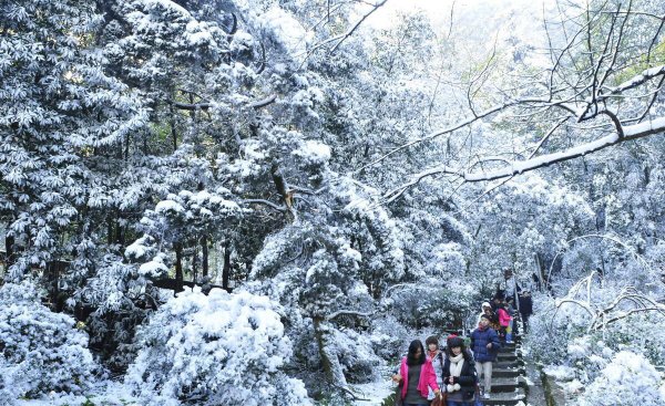 重庆看雪景的最佳地点