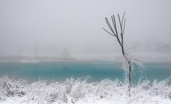 重庆看雪景的最佳地点