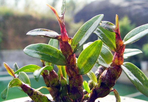 绀色是什么颜色