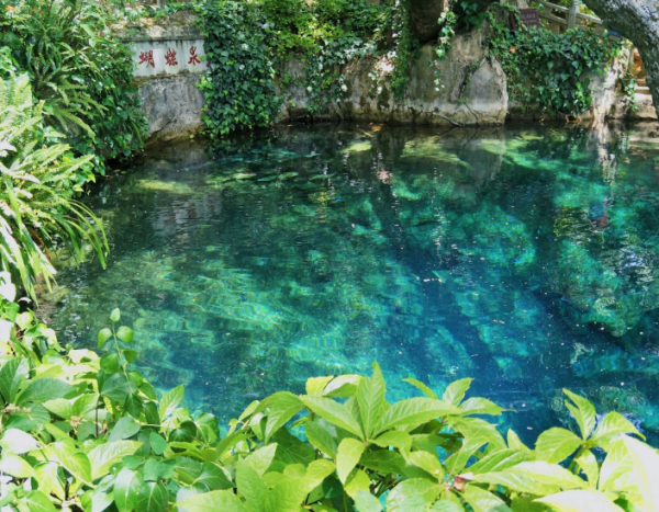 蝴蝶泉在云南哪里