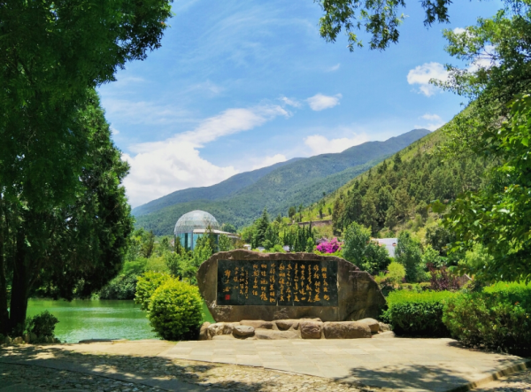 蝴蝶泉在云南哪里