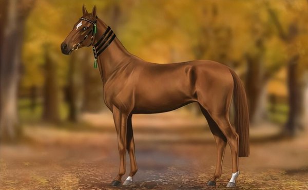 汗血宝马是什么意思