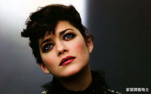 法国当红明星有哪些