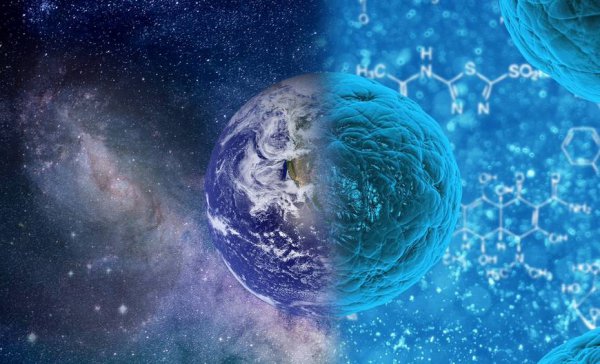 三体程心最后为什么永生了