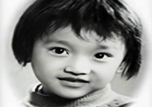 演员周迅简历个人简介