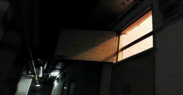 演员周迅简历个人简介