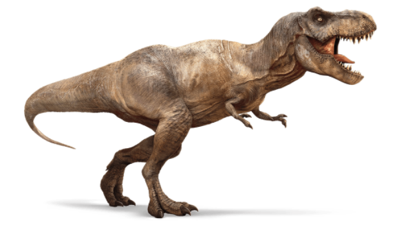 世界上十大肉食恐龙有哪些