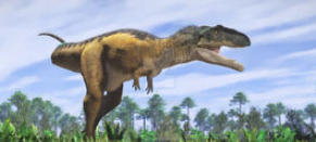 世界上十大肉食恐龙有哪些