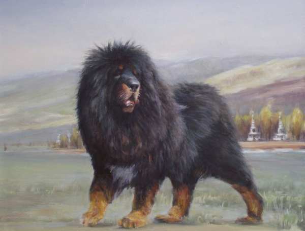 最贵的狗排名第一