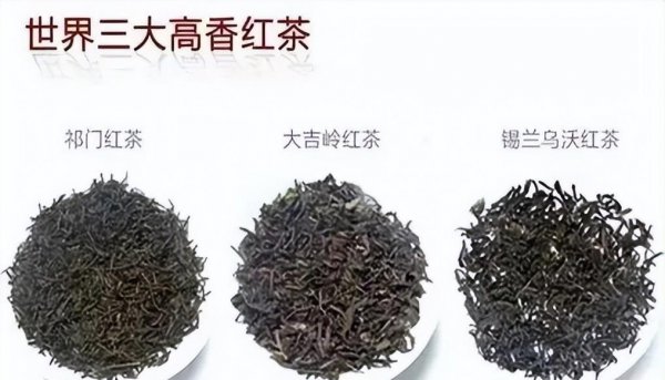 四大红茶是哪四大红茶